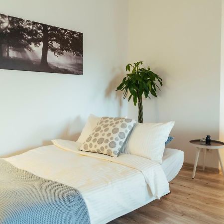 Bright And Spacious Central Apartment- Piata Amzei Bukarest Exteriör bild